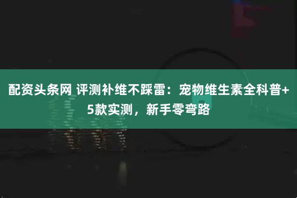 配资头条网 评测补维不踩雷：宠物维生素全科普+5款实测，新手零弯路