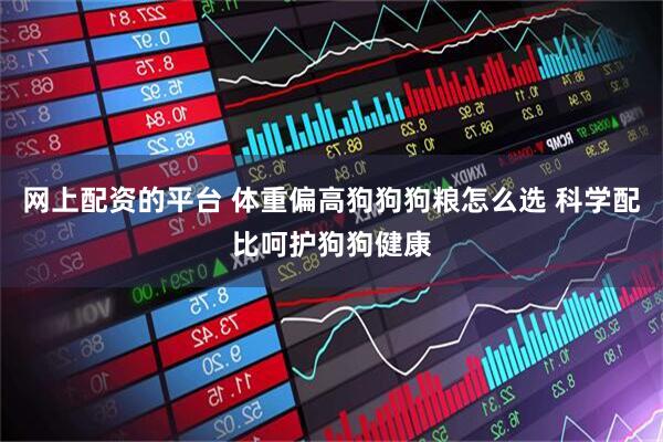 网上配资的平台 体重偏高狗狗狗粮怎么选 科学配比呵护狗狗健康