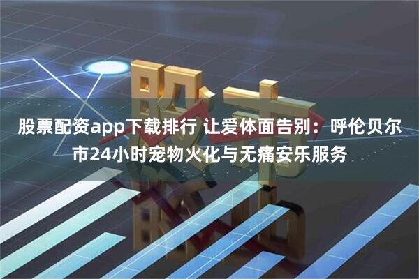 股票配资app下载排行 让爱体面告别：呼伦贝尔市24小时宠物火化与无痛安乐服务