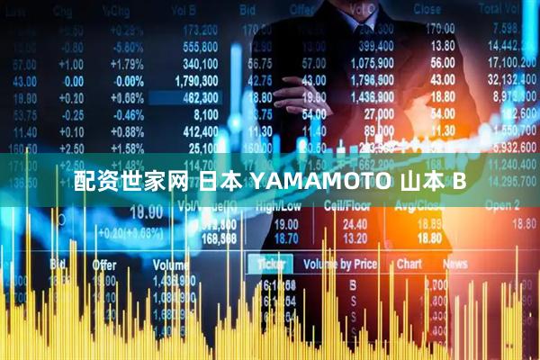 配资世家网 日本 YAMAMOTO 山本 B