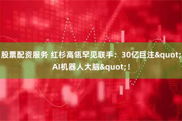 股票配资服务 红杉高瓴罕见联手：30亿巨注"AI机器人大脑"！